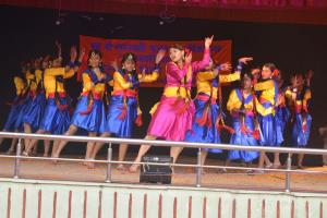 Saraswati Vidya Mandir Girl's Inter College